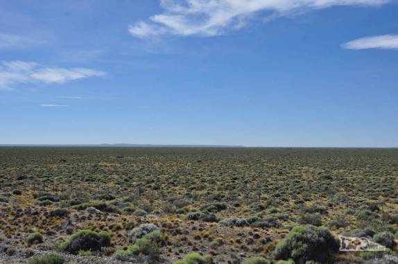 Cruzando o longo e quase plano deserto da patagônia, rumo ao sul da Argentina, ruta 40